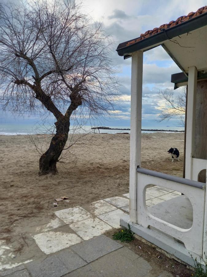 Bilocale Climatizzato A 850M Dalla Spiaggia Casa Katia مارينا دي ماسا المظهر الخارجي الصورة